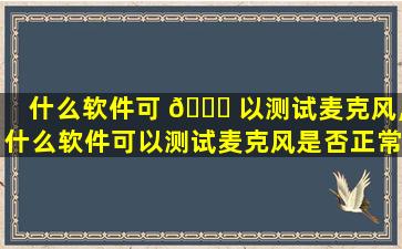 什么软件可 🐕 以测试麦克风,什么软件可以测试麦克风是否正常